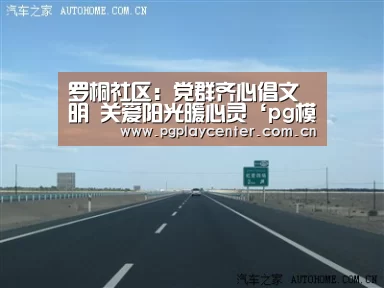 罗桐社区:党群齐心倡文明 关爱阳光暖心灵‘pg模拟器’(图4) pg模拟器在线试玩